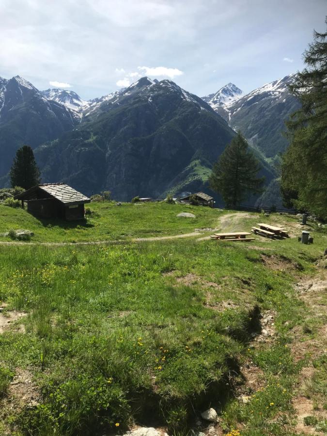 Ferienwohnung Edelweiss Grachen Bagian luar foto